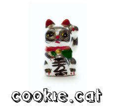 cookie.cat book cover