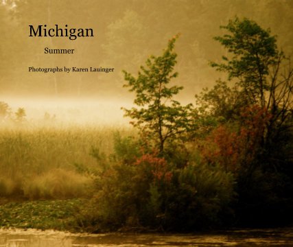 Michigan
      
            Summer book cover