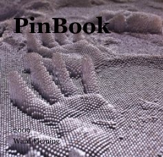 PinBook book cover