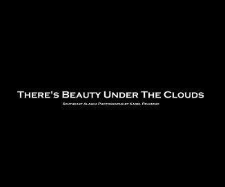 There's Beauty Under The Clouds book cover