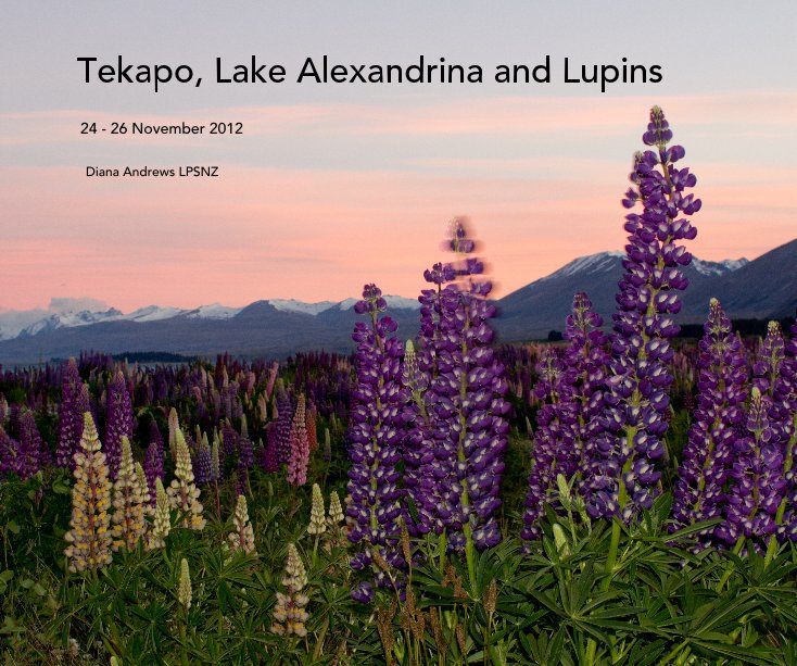 Ver Tekapo, Lake Alexandrina and Lupins por Diana Andrews LPSNZ