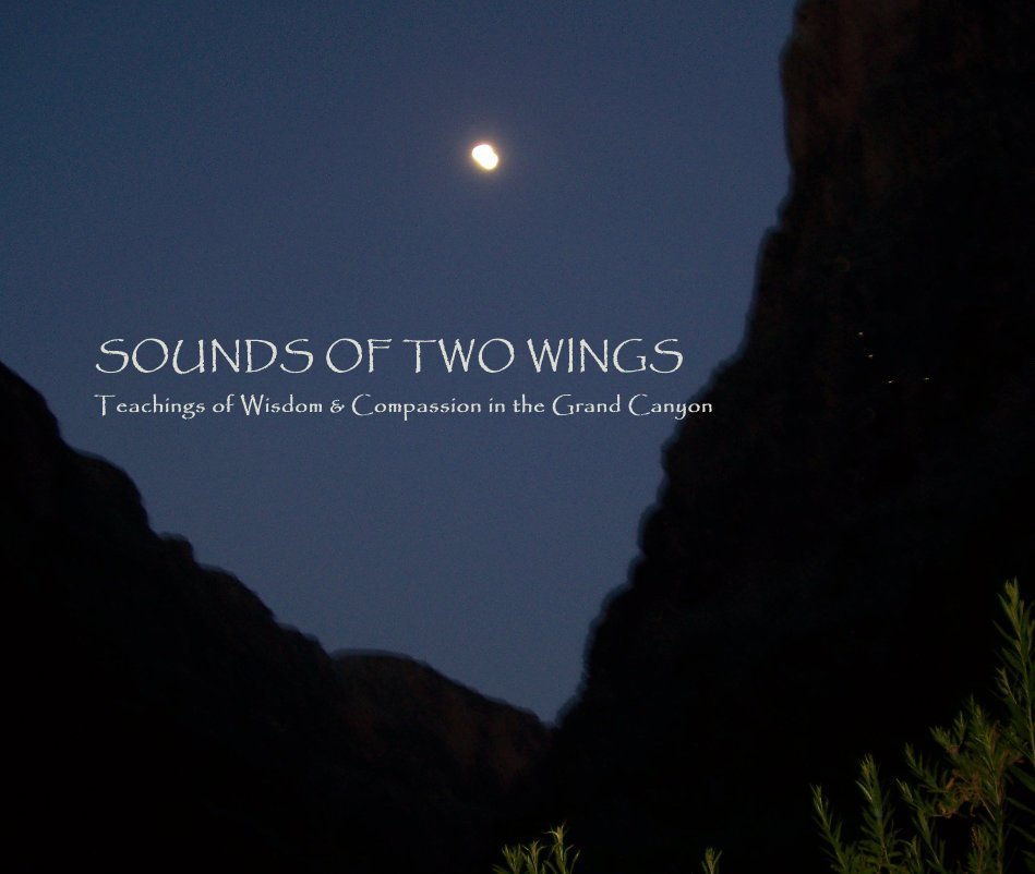 View SOUNDS OF TWO WINGS by Marianne B. Rowe