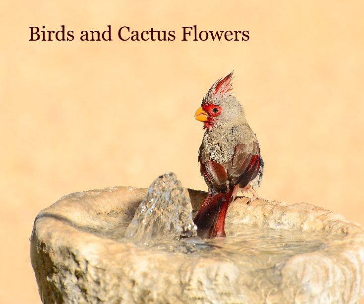 Bekijk Birds and Cactus Flowers op Laura Stafford