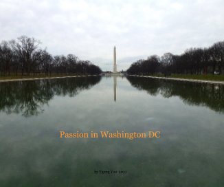 Passion in Washington DC book cover
