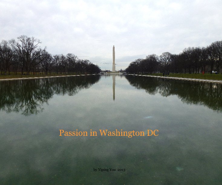 View Passion in Washington DC by Yiping You 2013