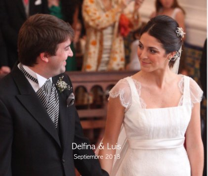 Delfina & Luis Septiembre 2013 book cover