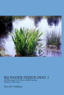 BIJ NADER INZIEN DEEL 1
Kanttekeningen bij de Nieuwe BijbelVertaling
Matteüs t/m Romeinen book cover