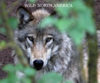 Wild North America book cover