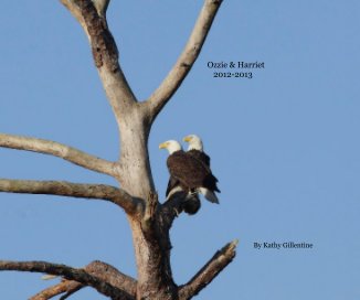 Ozzie & Harriet 2012-2013 By Kathy Gillentine book cover