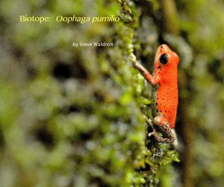 Biotope: Oophaga pumilio book cover