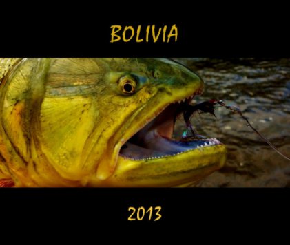BOLIVIA 2013 book cover