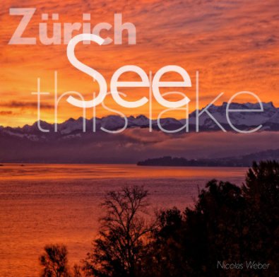 Zurich See this lake book cover