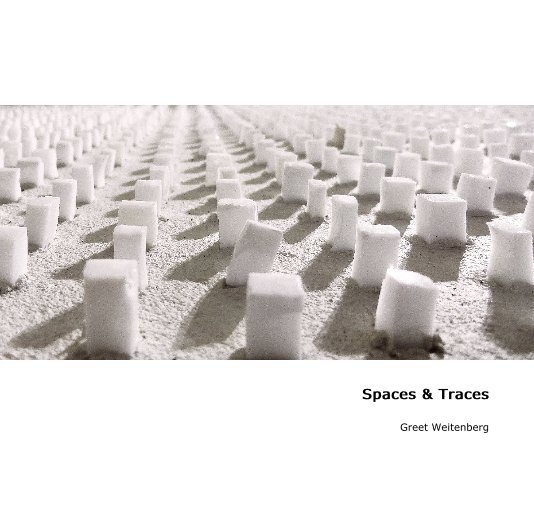 View Spaces & Traces by Greet Weitenberg