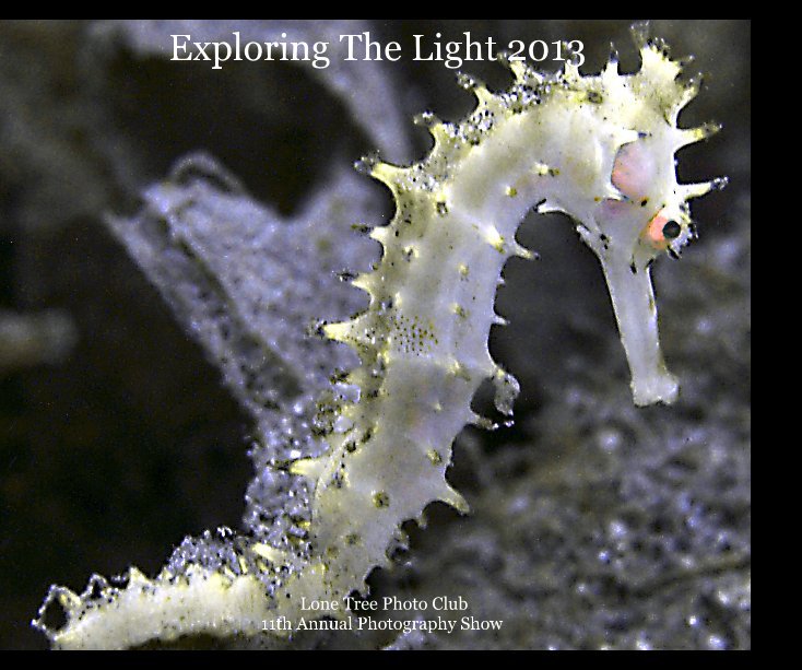 Ver Exploring the Light 2013 por Lone Tree Photo Club