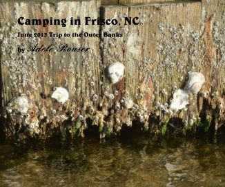 Camping in Frisco, NC book cover