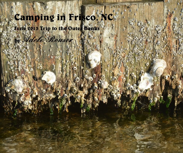View Camping in Frisco, NC by Adele Rouser