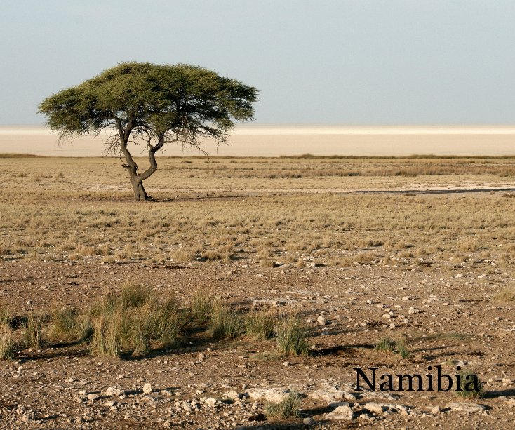 View Namibia by emmastubbs