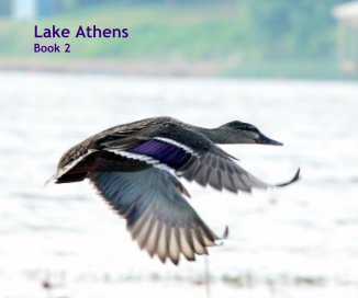 Lake Athens Book 2 book cover