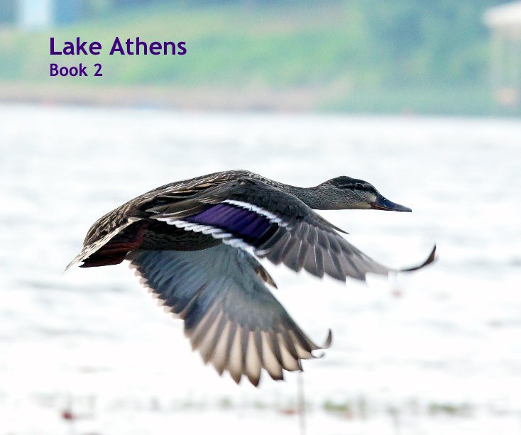 View Lake Athens Book 2 by Suzy Beck Photography
