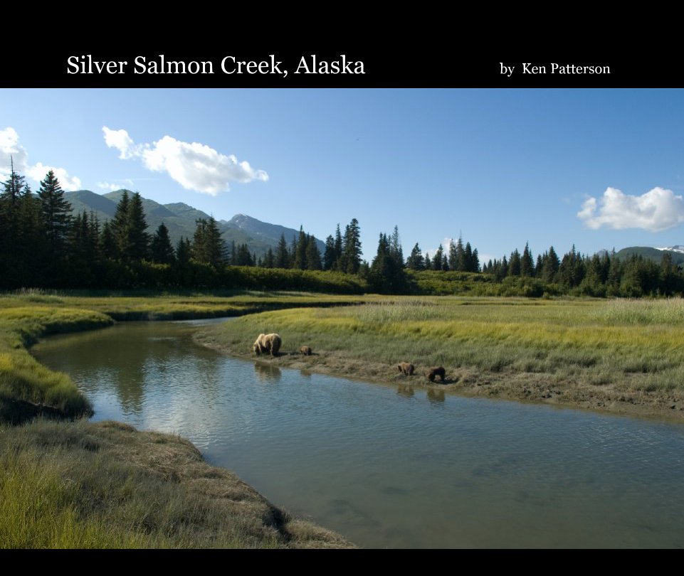 View Silver Salmon Creek, Alaska                       by  Ken Patterson by KPAC