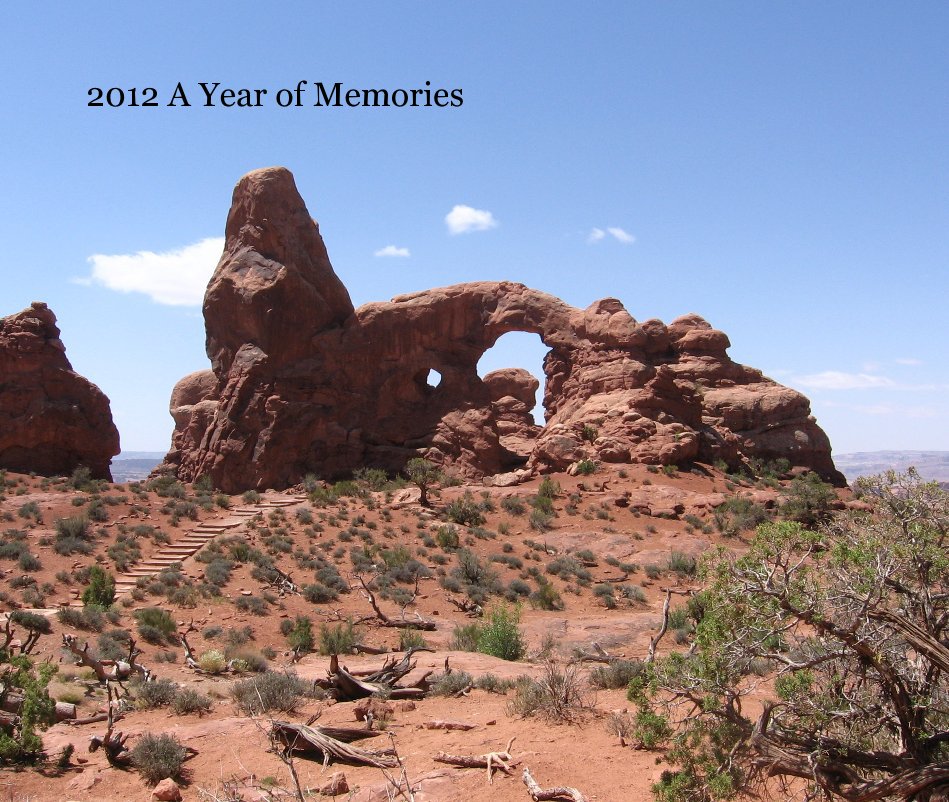 Ver 2012 A Year of Memories por Colleen Ehrhart