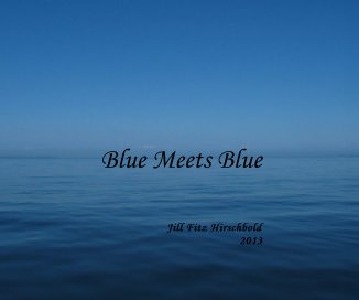 Blue Meets Blue book cover