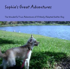 Sophie's Great Adventures book cover