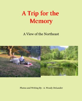 A Trip for the 
Memory book cover