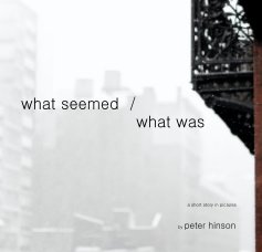 what seemed / what was book cover