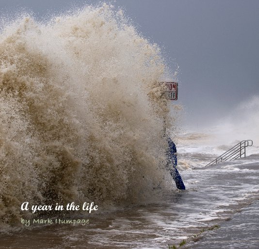 View A Year in the life by Mark Humpage
