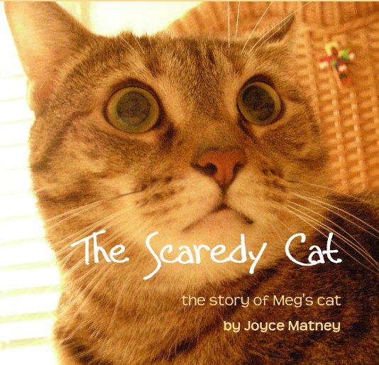 View The Scaredy Cat by Joyce Matney