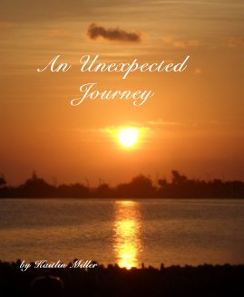 An Unexpected Journey book cover