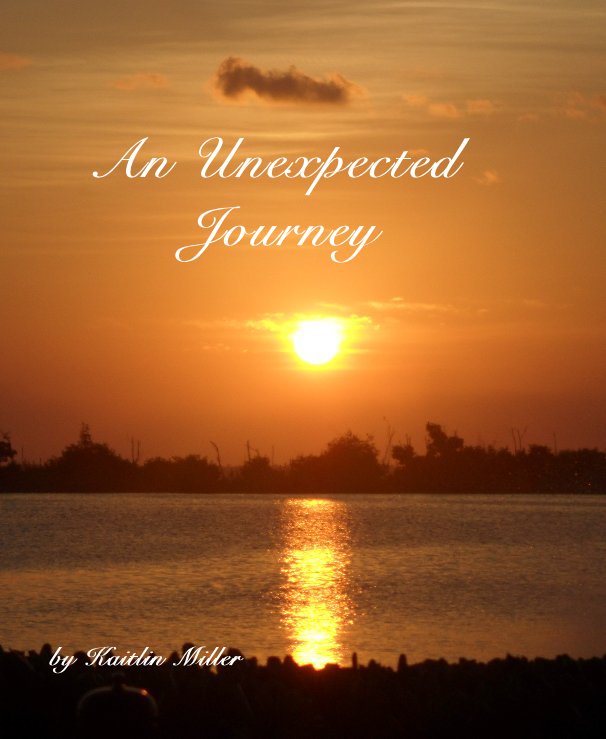 View An Unexpected Journey by Kaitlin Miller