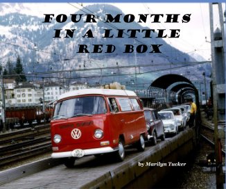 Four Months in a Little Red Box book cover
