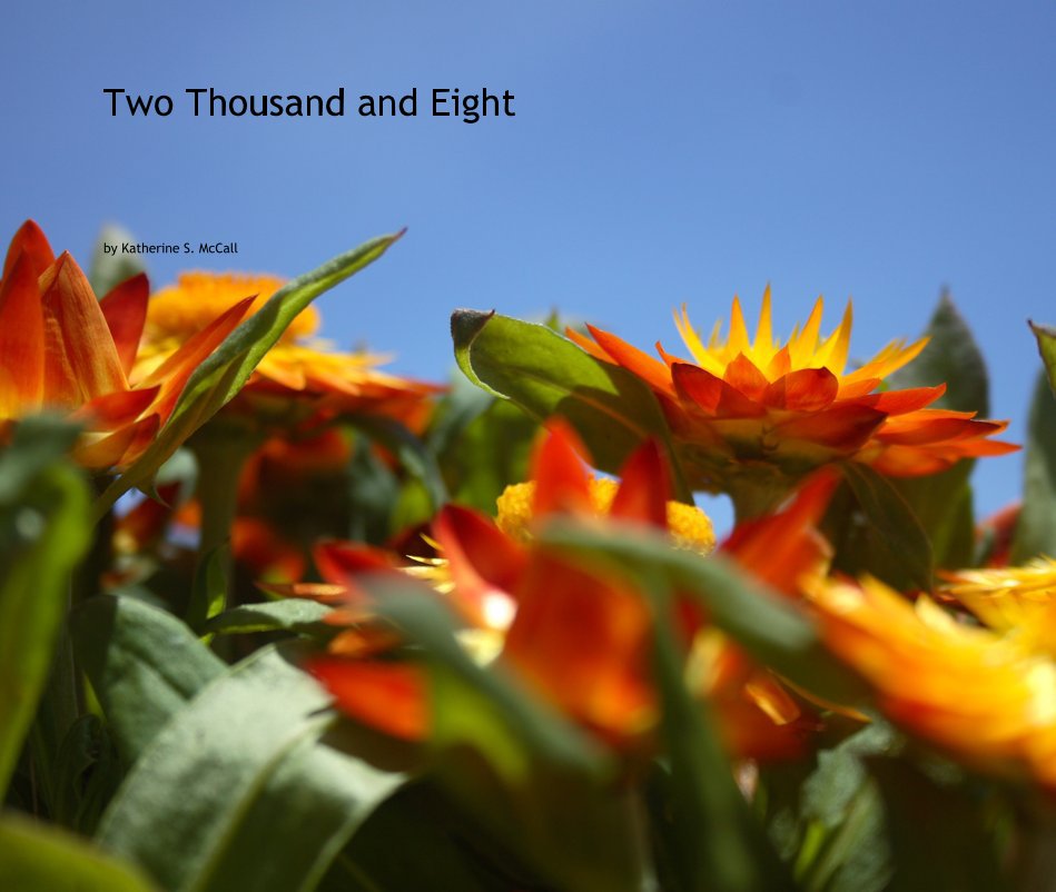 View Two Thousand and Eight by Katherine S. McCall