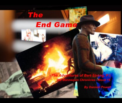 The End Game The Adventures of Bert Strong, P.I. The Mannequin Chronicles - Book 15 by Dannell Powell book cover
