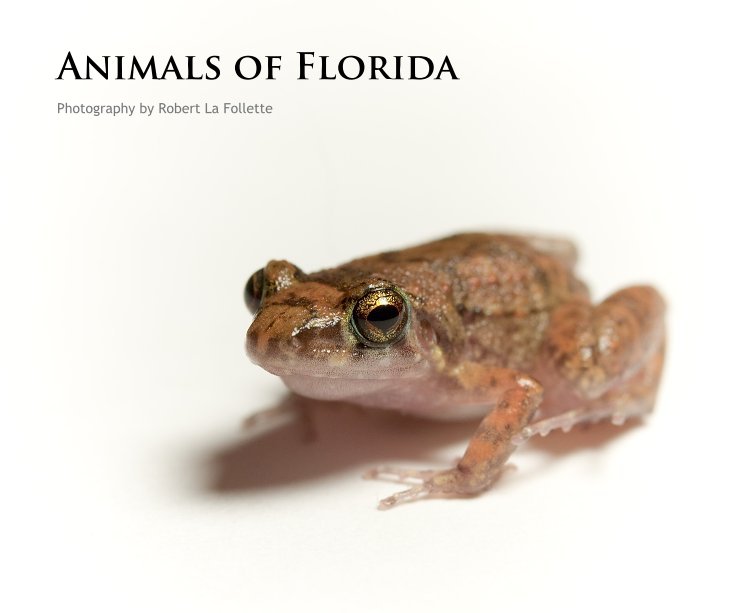 View Animals of Florida by Robert La Follette