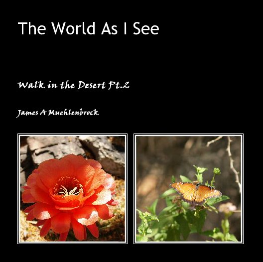 Ver The World As I See por James A Muehlenbrock