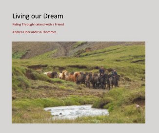 Living our Dream book cover