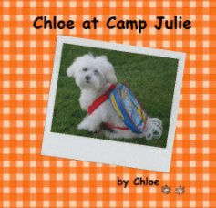 Chloe at Camp Julie book cover