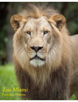 Zoo Miami book cover