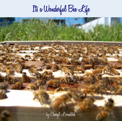 It's a Wonderful Bee Life book cover