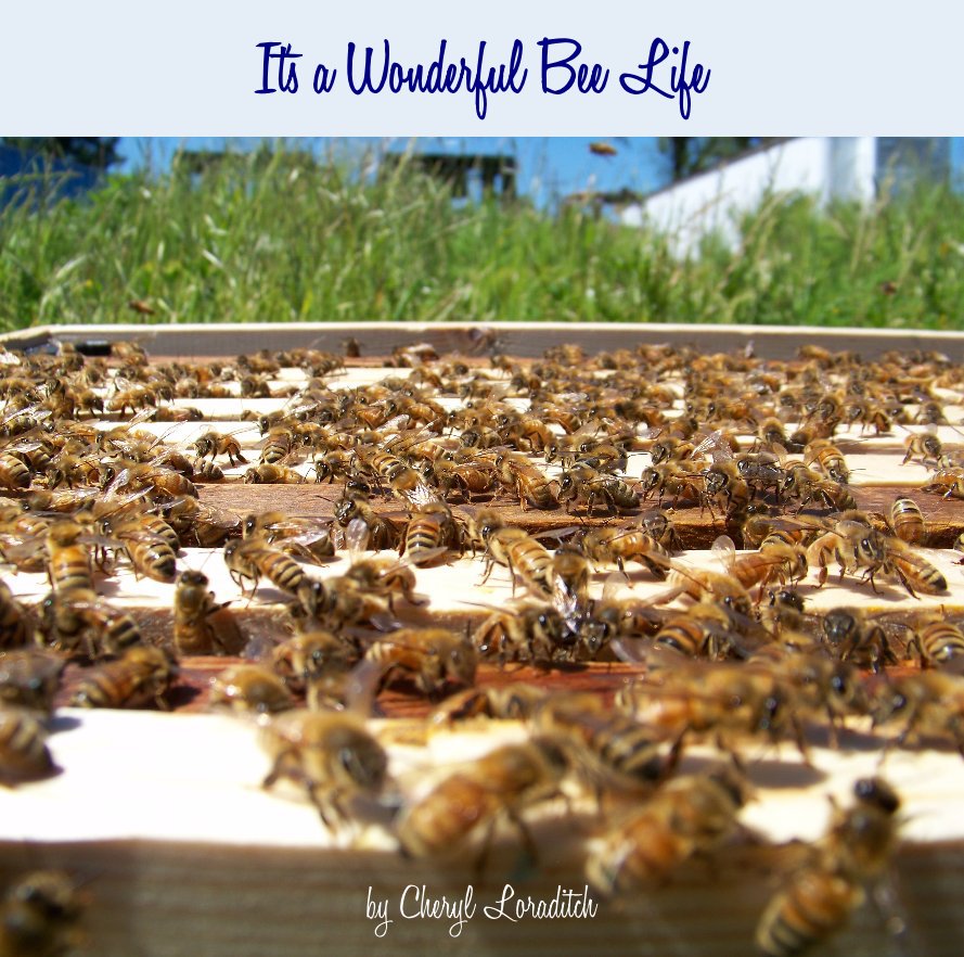 View It's a Wonderful Bee Life by Cheryl Loraditch
