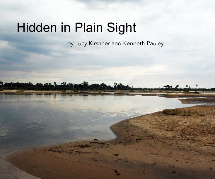 Bekijk Hidden in Plain Sight op Lucy Kirshner and Kenneth Pauley