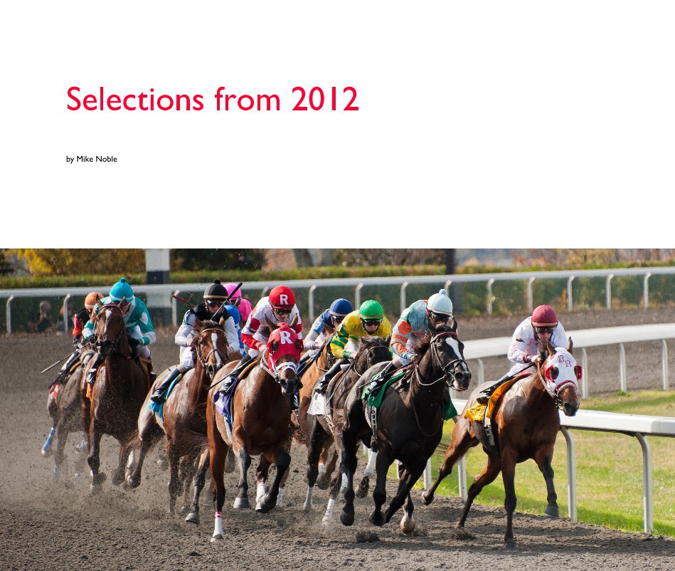 View Selections from 2012 by Mike Noble