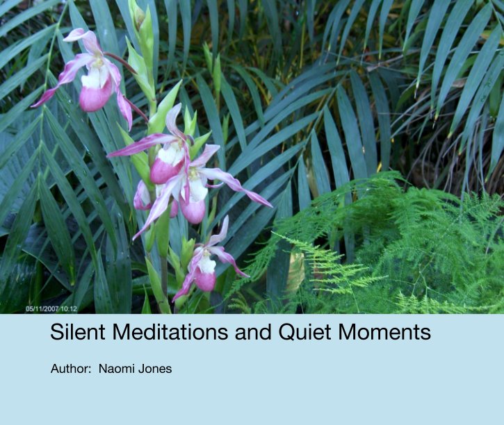 View Silent Meditations and Quiet Moments by Author:  Naomi Jones