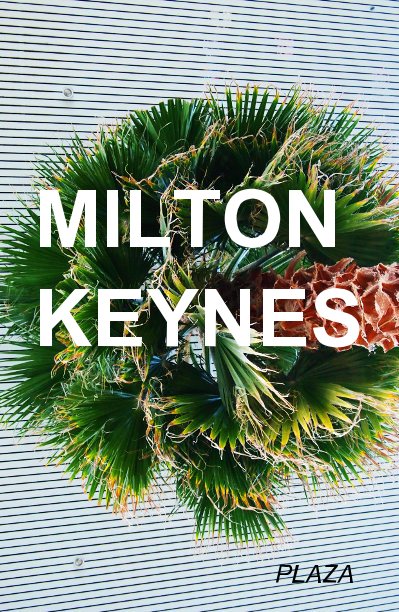 View MILTON KEYNES by PLAZA