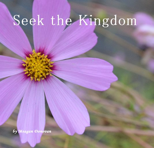 View Seek the Kingdom by Meagan Donovan