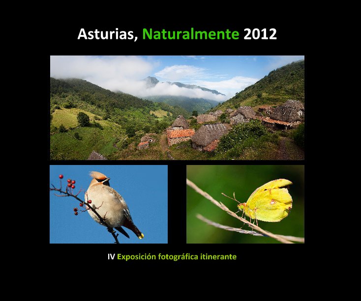 Ver Asturias, Naturalmente 2012 por AFONAS