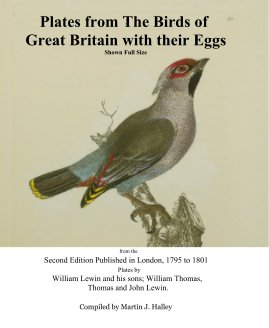 Plates from The Birds of Great Britain with their Eggs Shown Full Size book cover